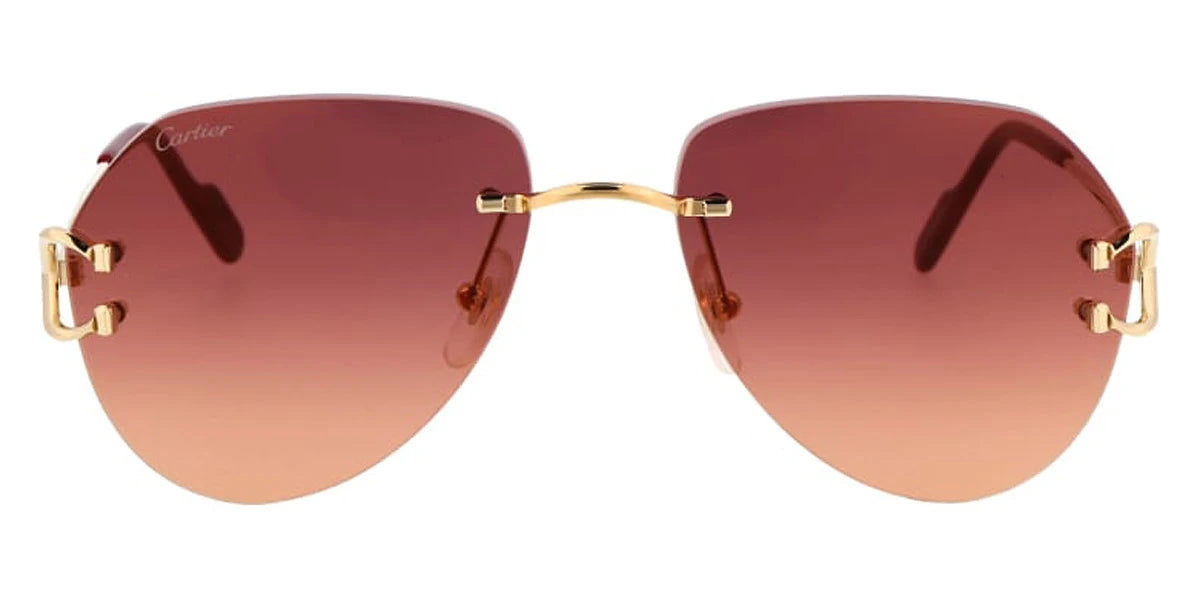 Cartier - CT0001CS Signature C de Cartier