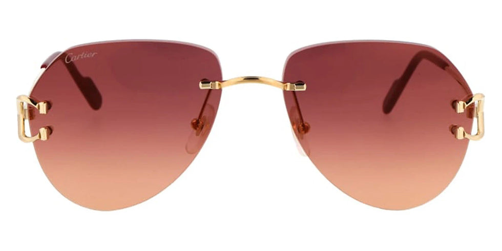 Cartier - CT0001CS Signature C de Cartier