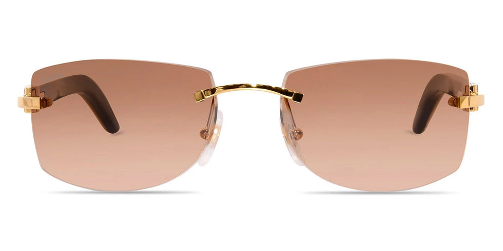 Cartier - CT0017RS Signature C de Cartier