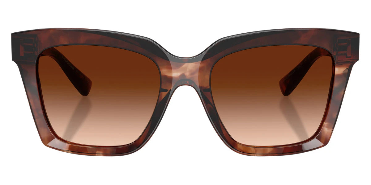 DOLCE & GABBANA - DG4498