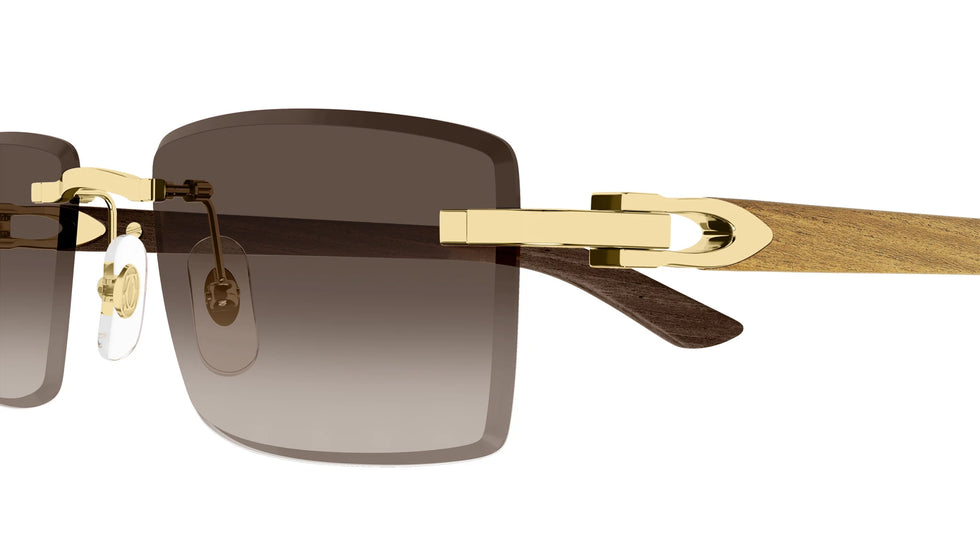 Cartier - CT0582S C Décor