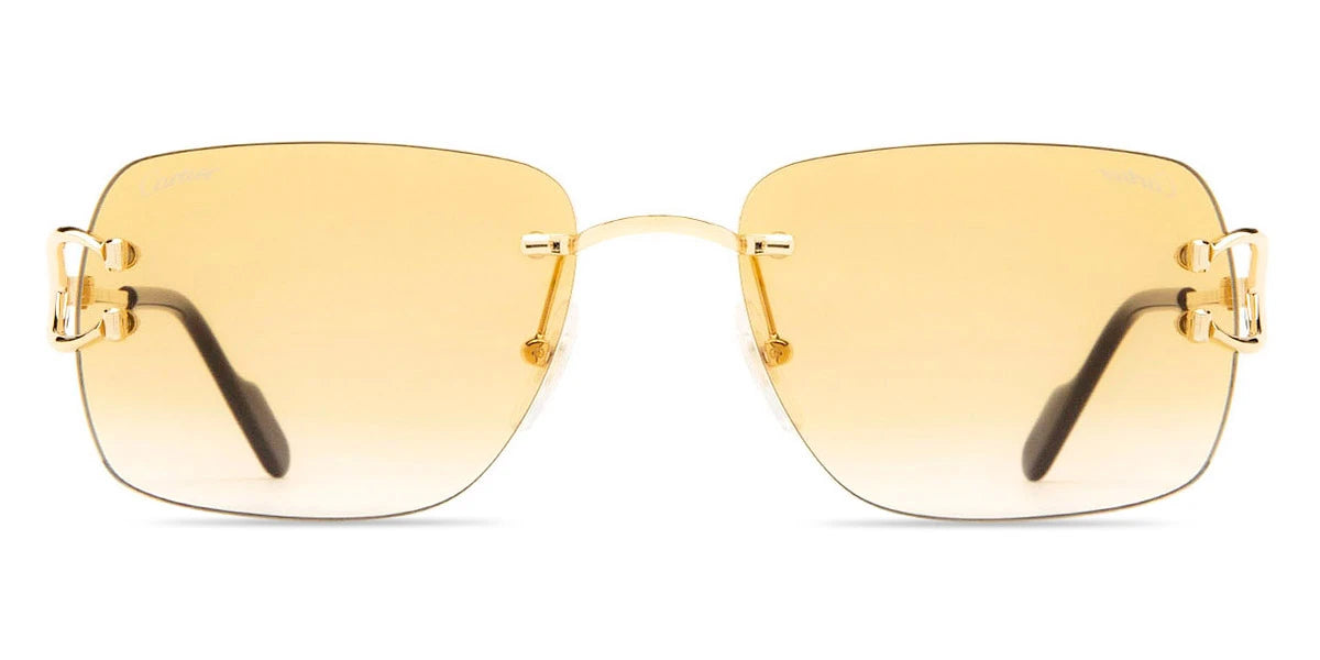 Cartier - CT0330S Signature C de Cartier