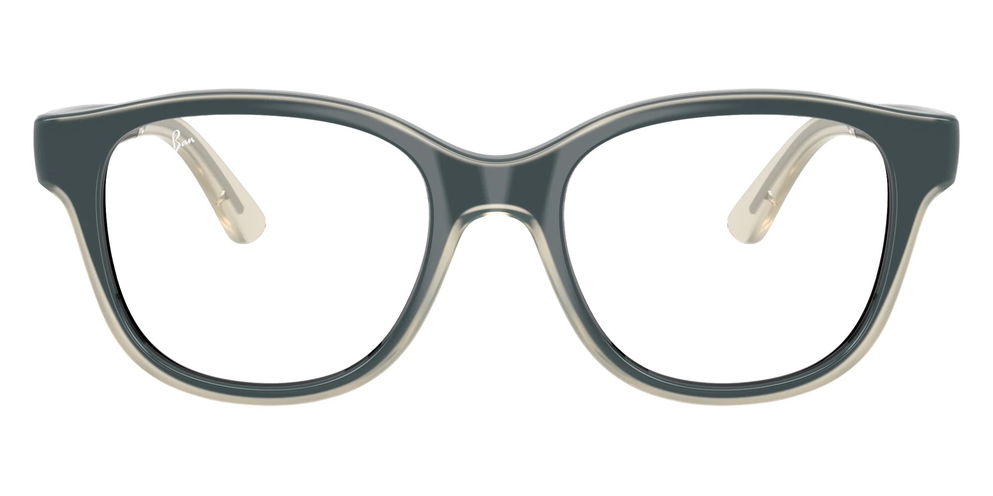 Ray-Ban RY1950 7202 46 - Black on Transparent