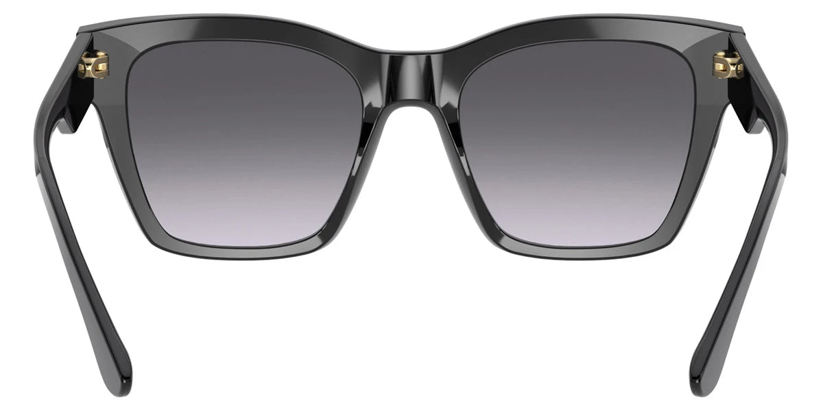 DOLCE & GABBANA - Print Family DG4384