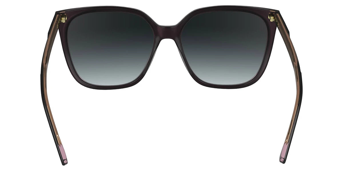 Calvin Klein - CK24509S