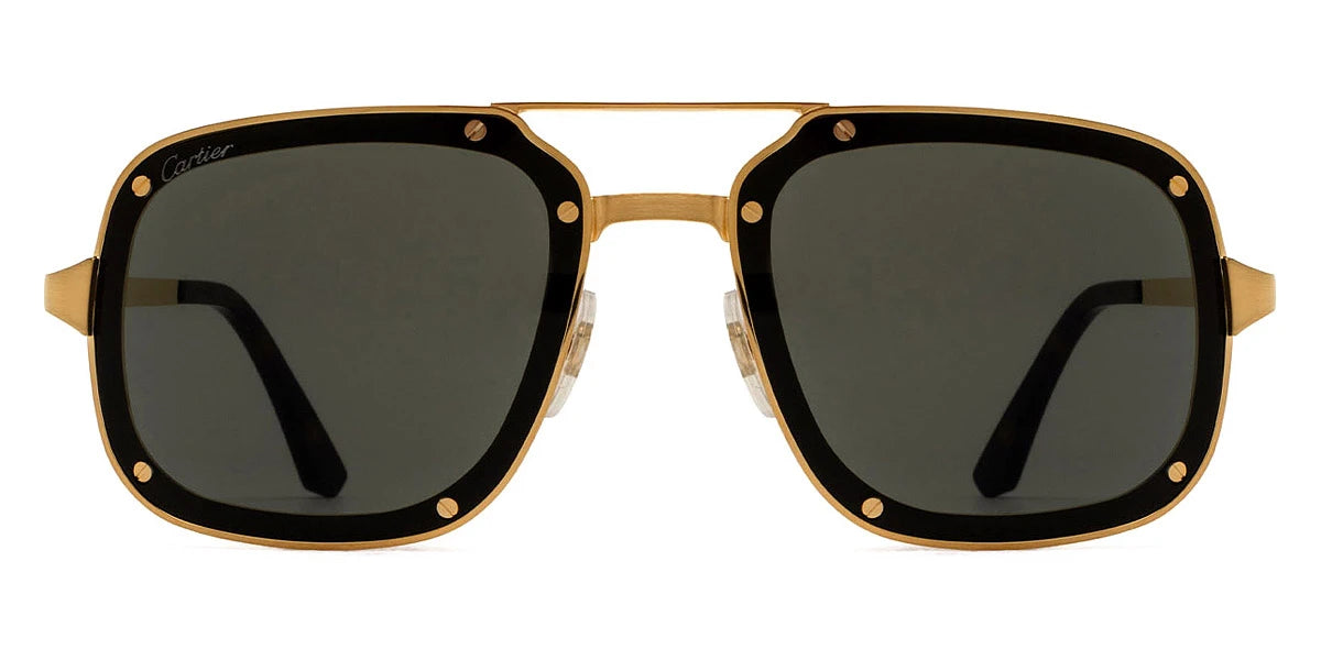 Cartier - CT0194S Santos de Cartier