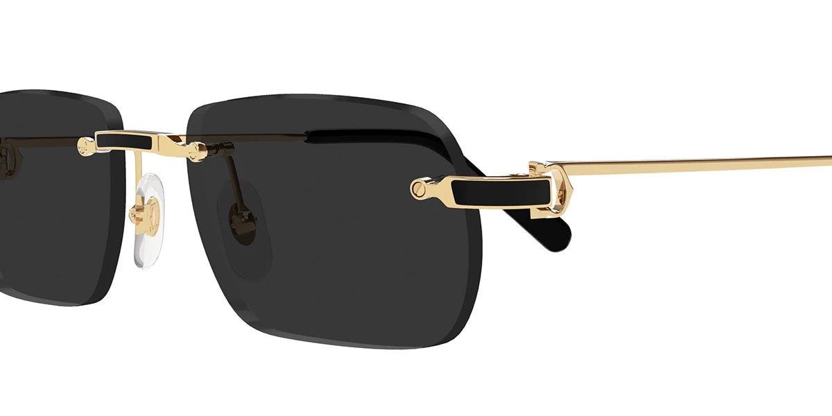 Cartier - CT0498S Santos de Cartier