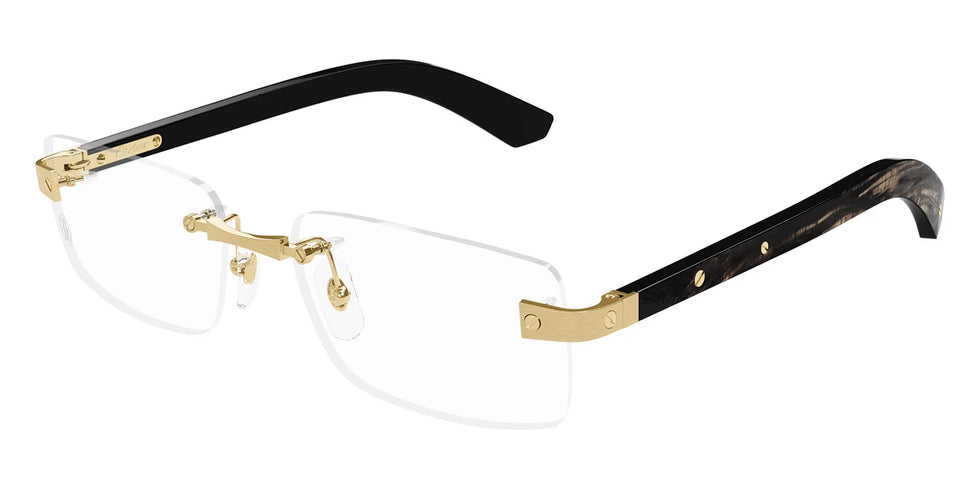 Cartier - CT0513O Santos de Cartier