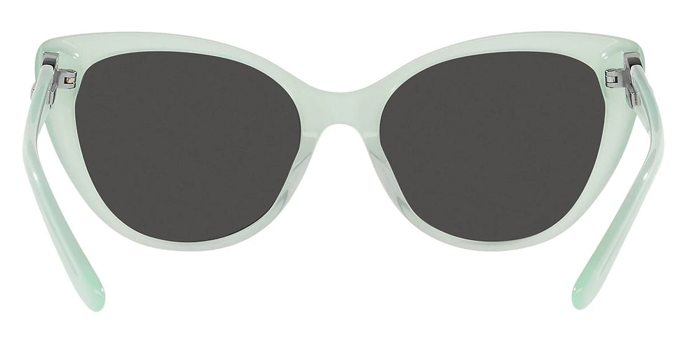 RALPH LAUREN RL8215BU 608287 56 - Opal Mint / Gray