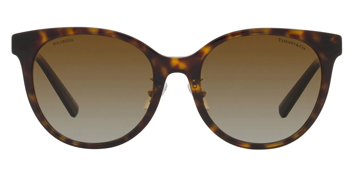 TIFFANY TF4209D 8015T5 54 - Havana / Polarized Brown Gradient