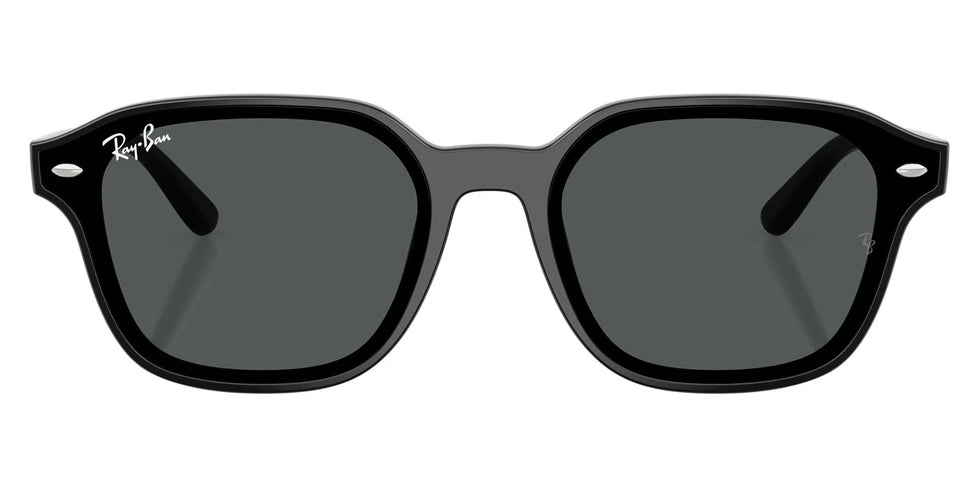 Ray-Ban - RB4458D