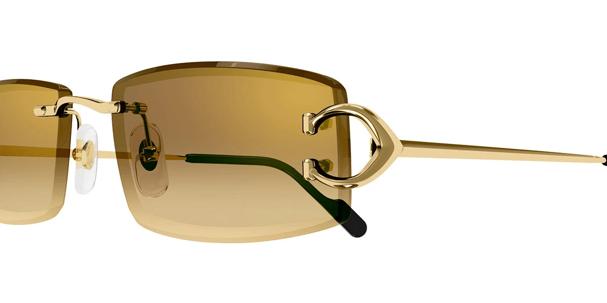 Cartier - CT0465S Signature C de Cartier