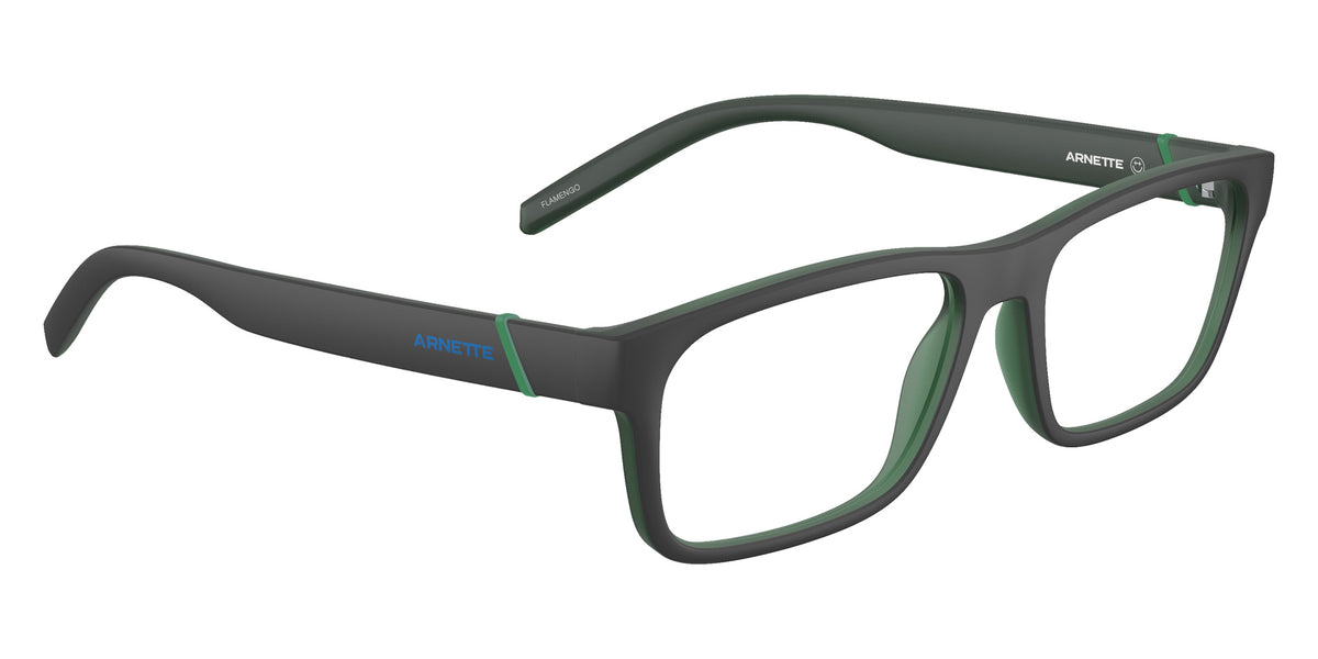 ARNETTE AN7230 Flamengo 2874 54 - Gray Transparent #id:an72302874_s:100120