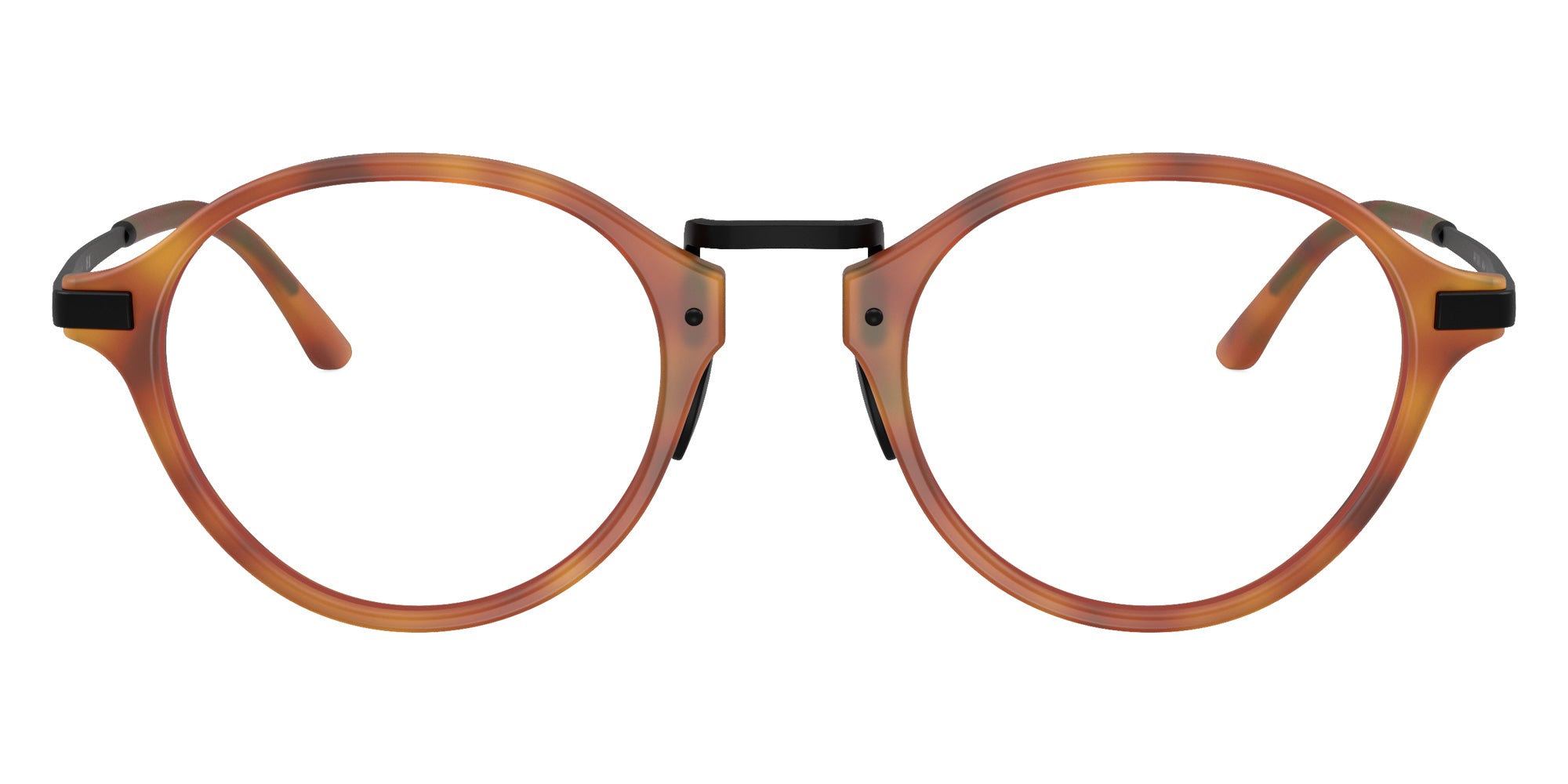 GIORGIO ARMANI AR7287 6404 48 - Brown Turtle #id:ar72876404_s:112120