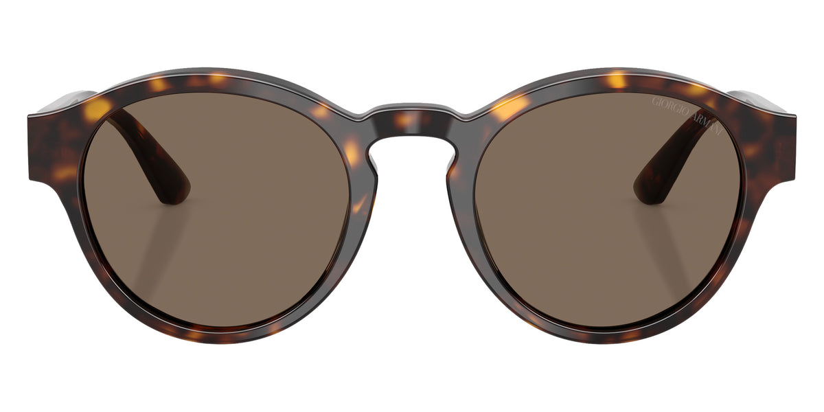 GIORGIO ARMANI AR8146 502673 50 - Dark Havana / Dark Brown #id:ar8146502673_s:100100