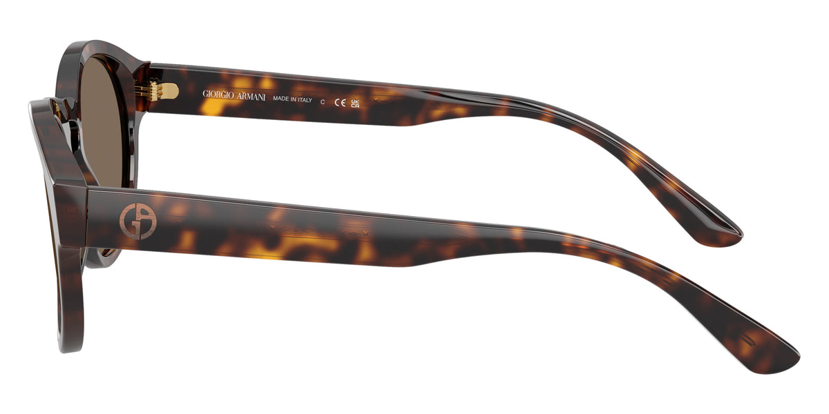 GIORGIO ARMANI AR8146 502673 50 - Dark Havana / Dark Brown #id:ar8146502673_s:100110