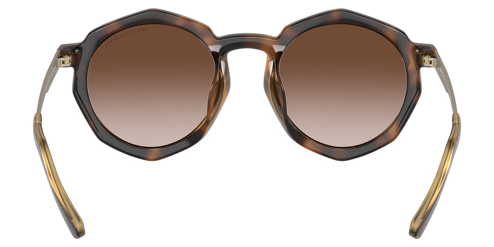 ARMANI EXCHANGE AX4132SU 821313 51 - Shiny Havana / Gradient Brown #id:ax4132su821313_s:100115