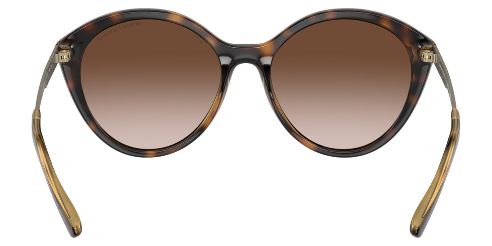 ARMANI EXCHANGE AX4134S 821313 55 - Shiny Havana #id:ax4134s821313_s:100115
