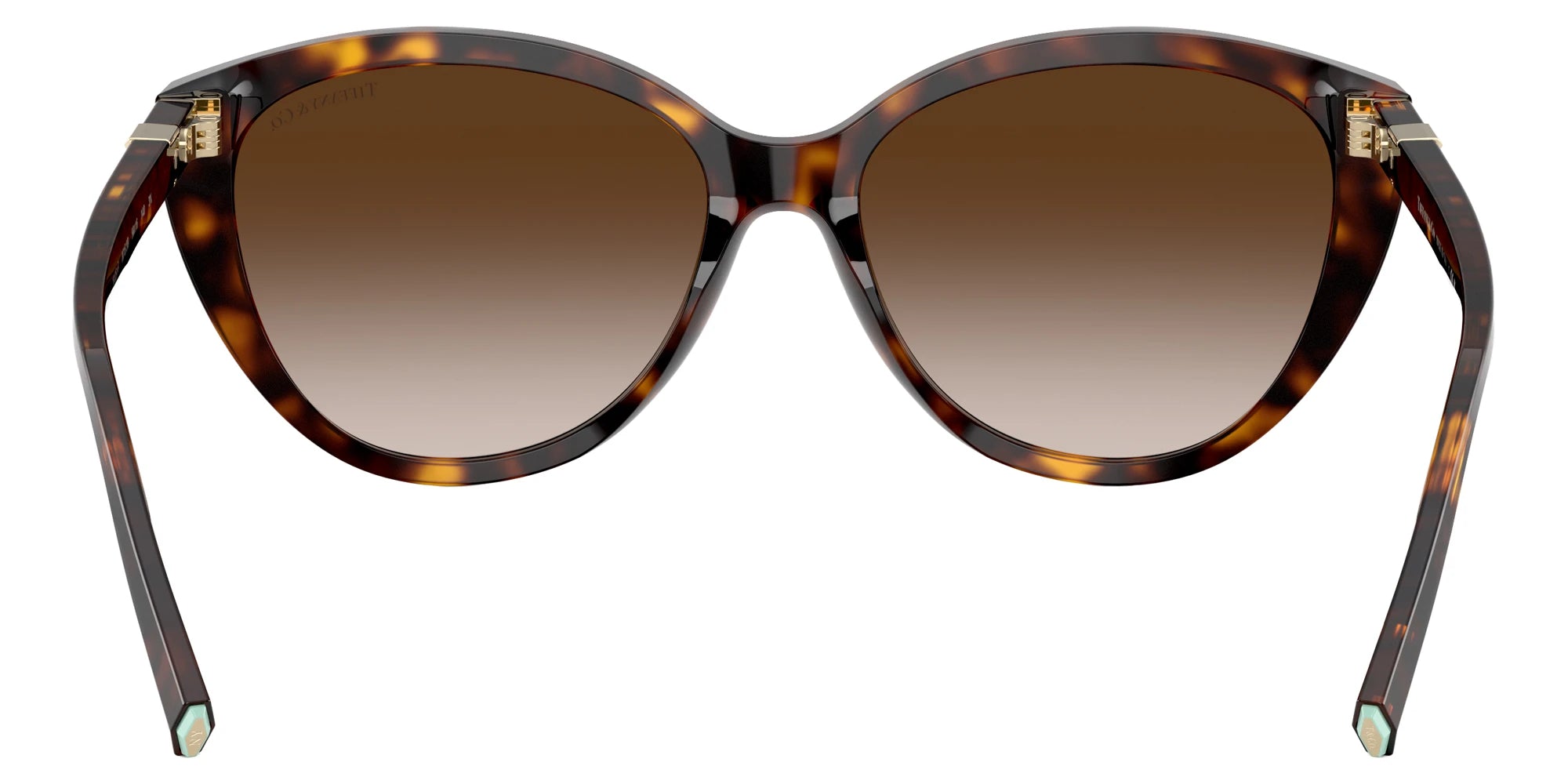 TIFFANY TF4251F 80153B 56 - Havana / Brown Gradient
