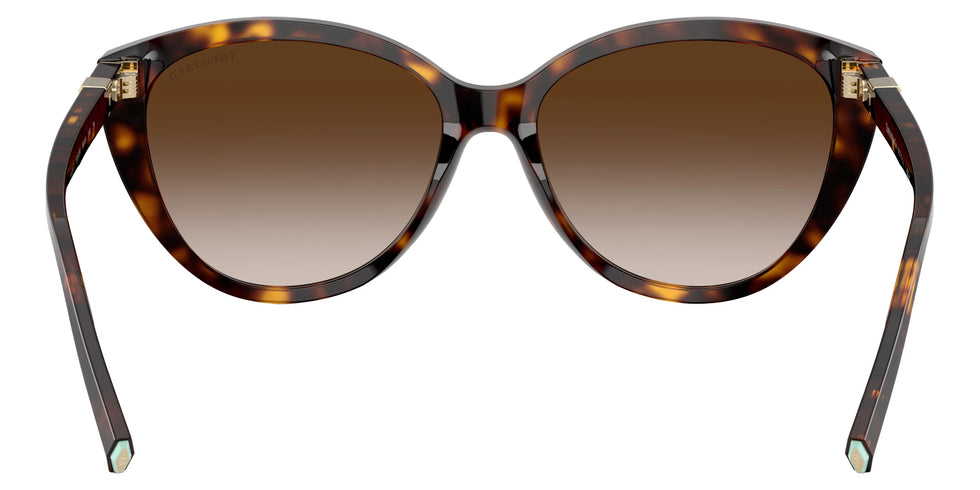 TIFFANY TF4251F 80153B 56 - Havana / Brown Gradient