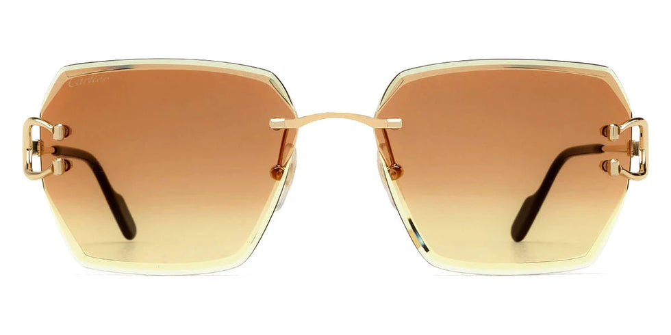 Cartier - CT0466S Signature C de Cartier