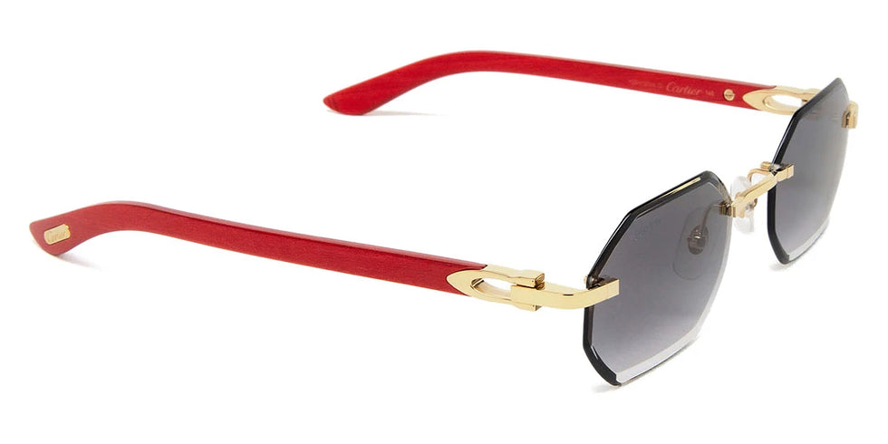 Cartier - CT0439S C Décor