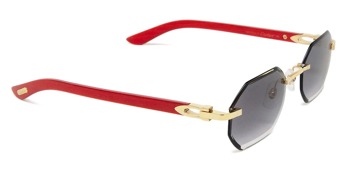 Cartier - CT0439S C Décor