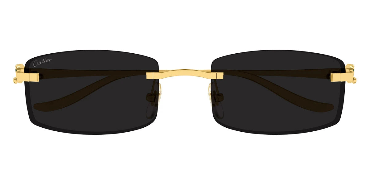 Cartier - CT0552S Precious