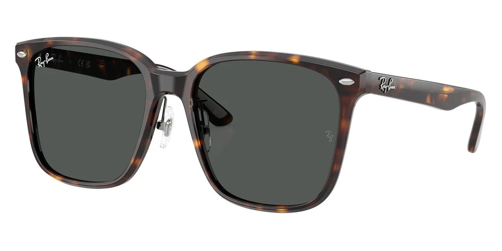 Ray-Ban - RB2206D