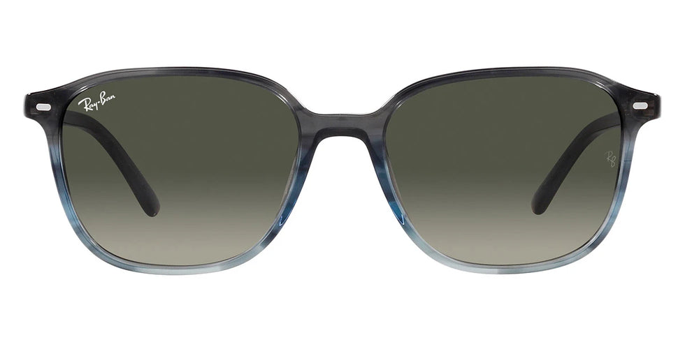 Ray-Ban - Leonard RB2193F