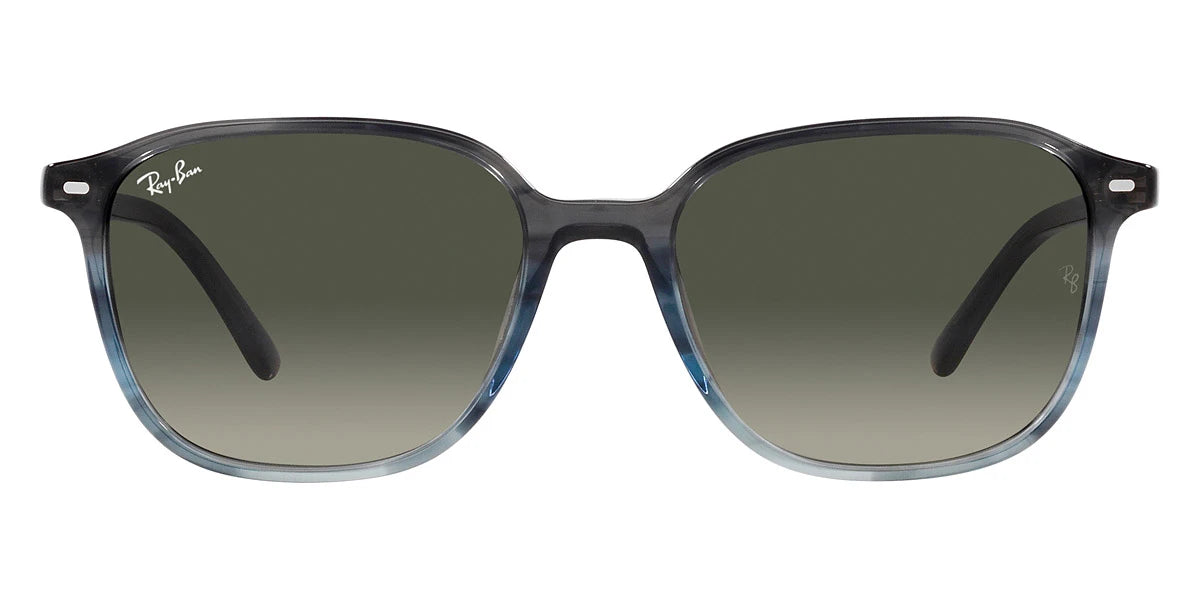 Ray-Ban - Leonard RB2193F