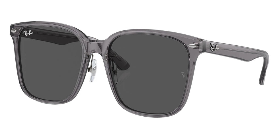 Ray-Ban - RB2206D