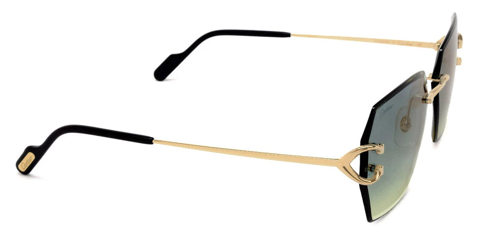 Cartier - CT0466S Signature C de Cartier