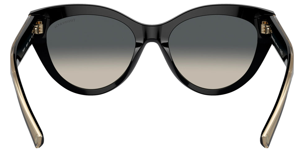 TIFFANY TF4220F 800171 54 - Crystal on Black / Gray Gradient