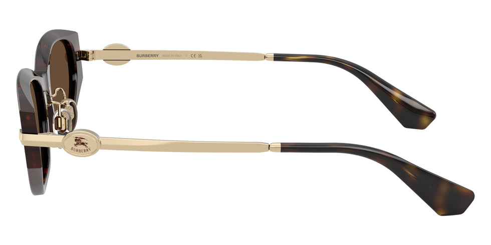 BURBERRY BE4493D 300273 56 - Dark Havana #id:be4493d300273_s:100110