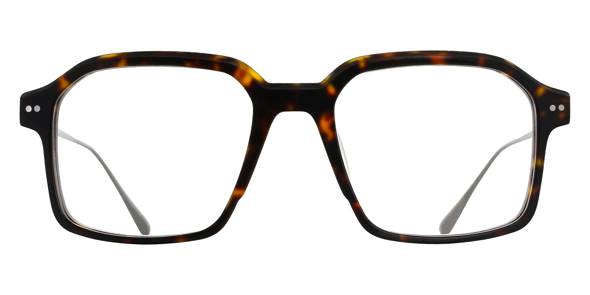 BRETT GLENN C05 52 - Tortoise/Silver #id:brtglennc05st_s:102100