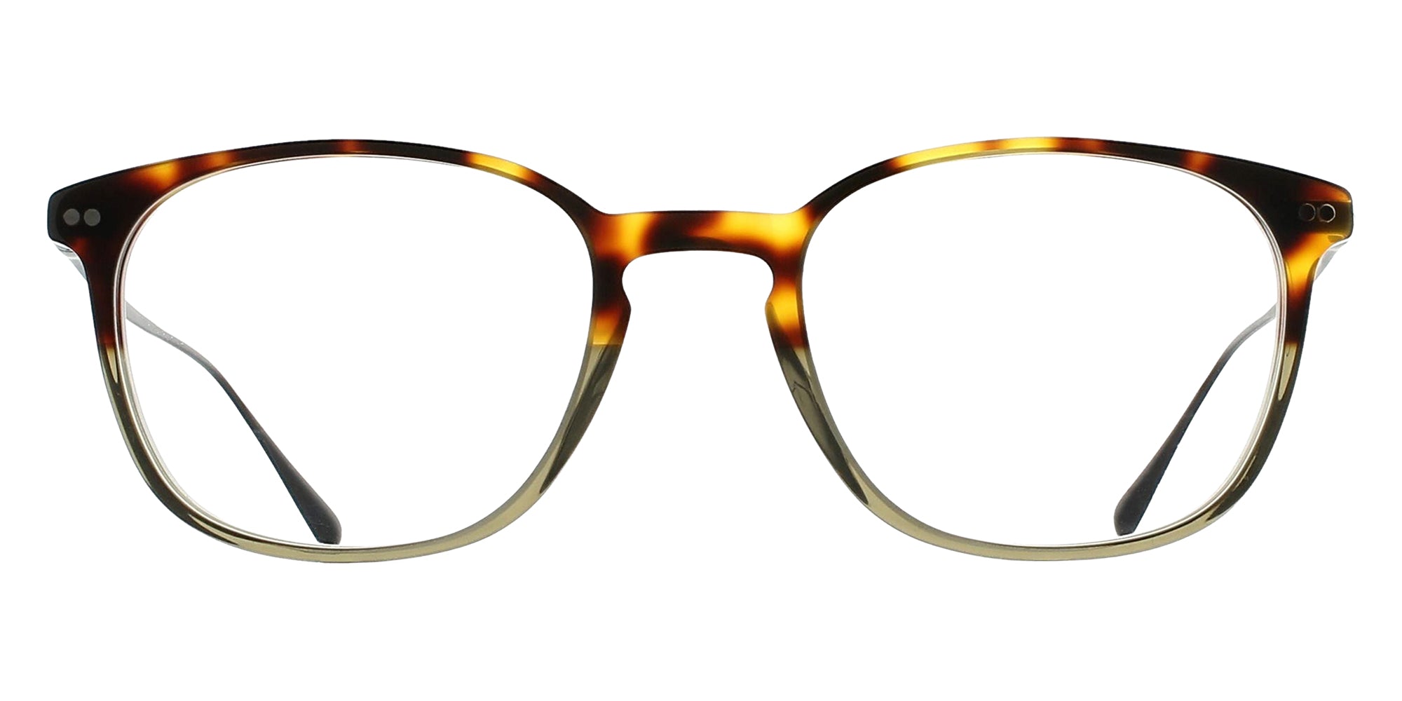 BRETT JAMES C13 49 - Green Gradient Tortoise/Black #id:brtjamesc13st_s:104100