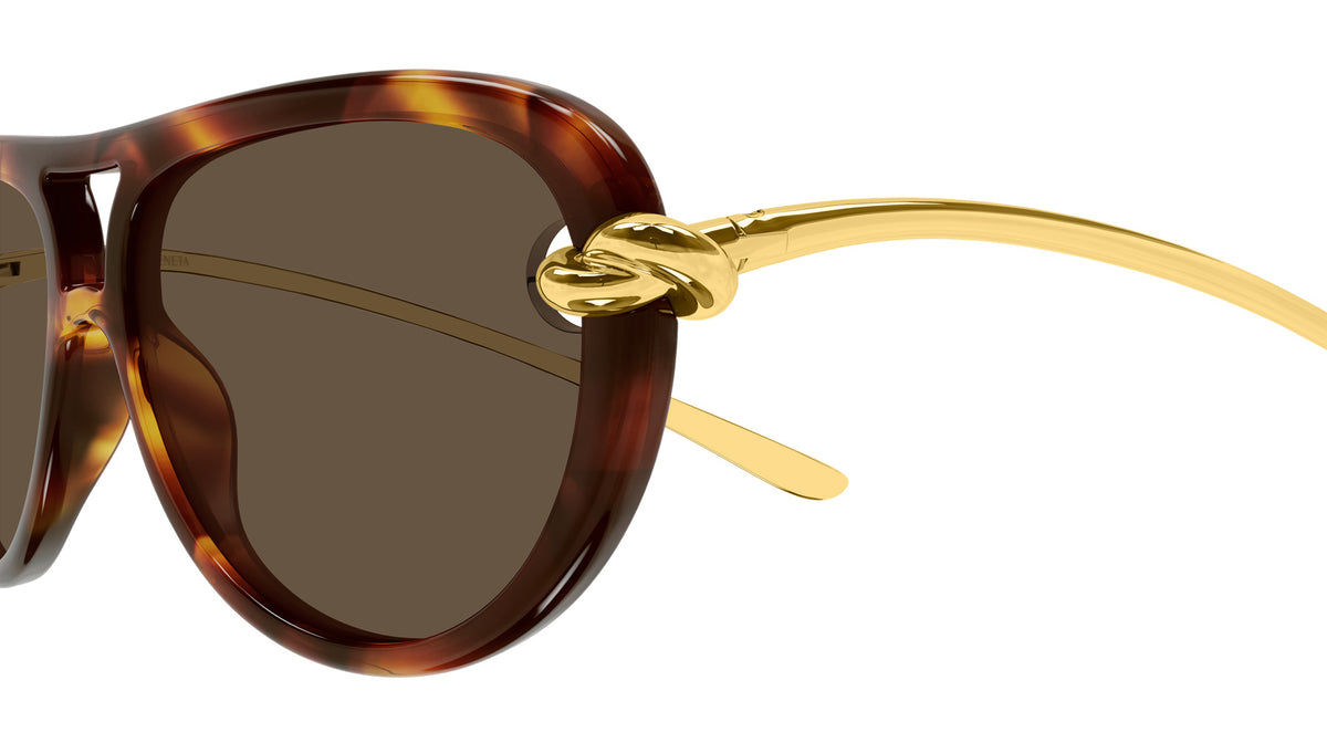 Bottega Veneta BV1418S 007 58 - Havana/Gold / Brown #id:bv1418s007_s:100110