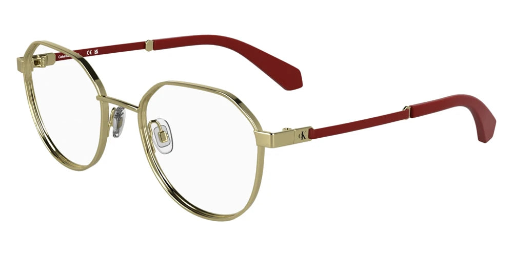 Calvin Klein - CKJ25304