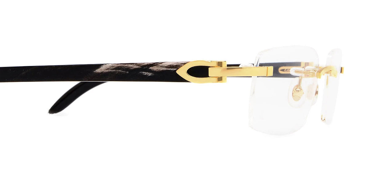 Cartier - CT0049O C Décor