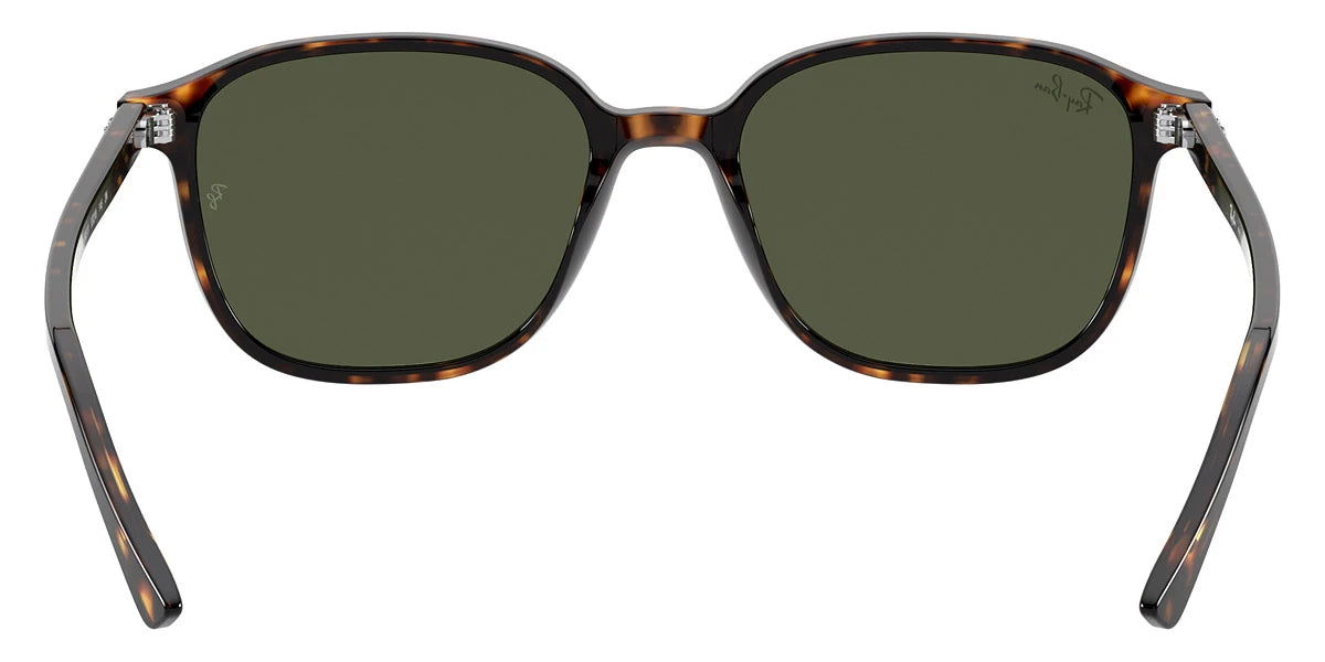 Ray-Ban - Leonard RB2193