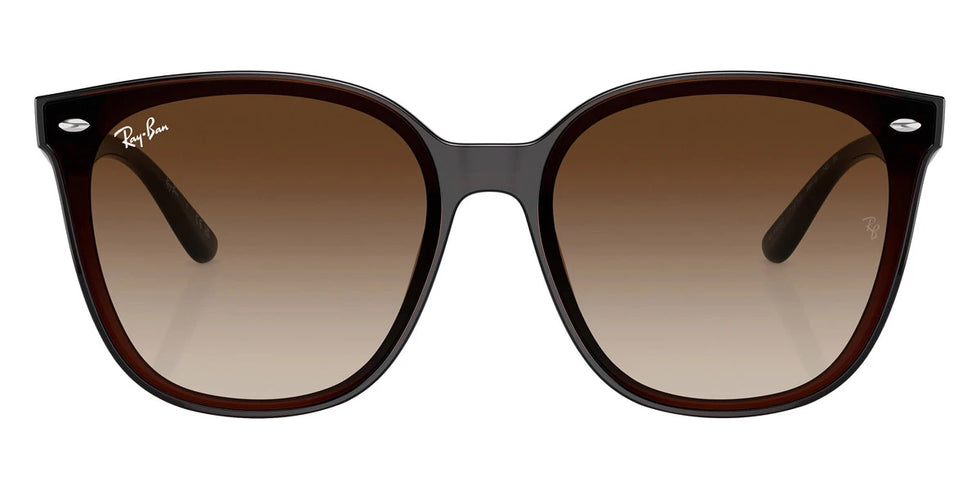 Ray-Ban - RB4423D