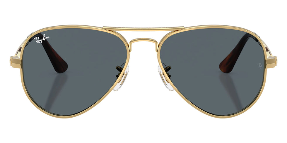 Ray-Ban - RB3925 Aviator Max