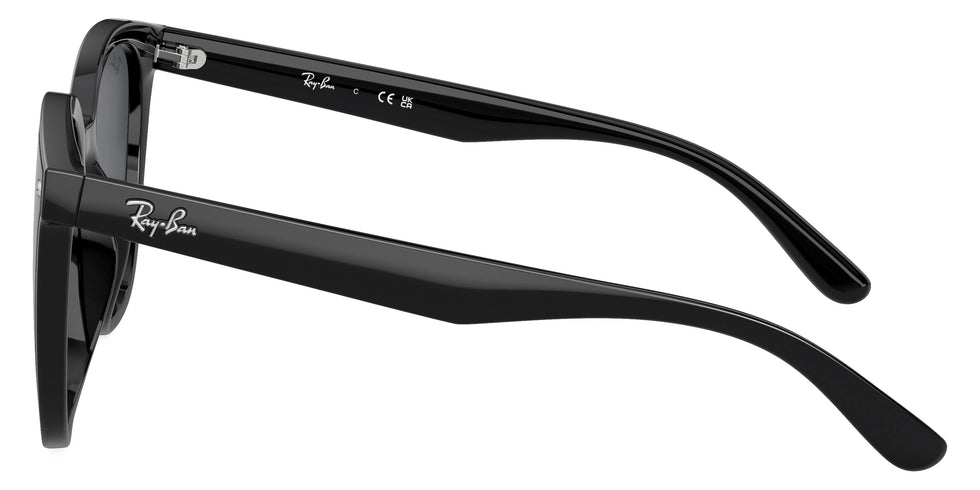 Ray-Ban - RB4423D