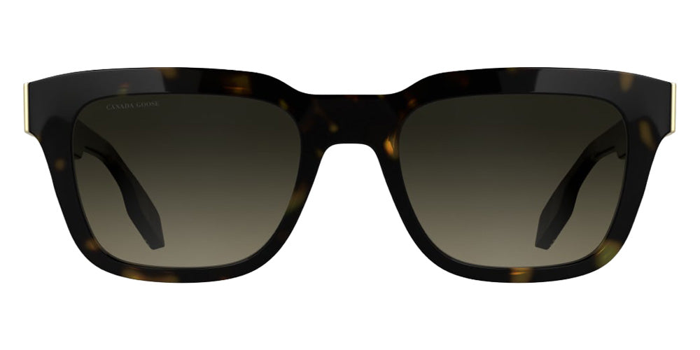 Canada Goose GC25602SE 230 52 - Dark Havana #id:cagc25602se230_s:100100