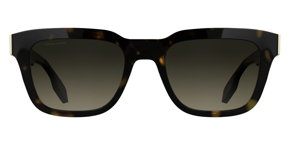 Canada Goose GC25602SE 230 52 - Dark Havana #id:cagc25602se230_s:100100