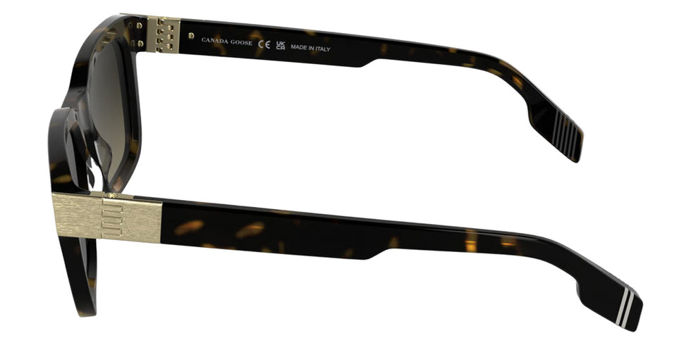 Canada Goose GC25602SE 230 52 - Dark Havana #id:cagc25602se230_s:100110