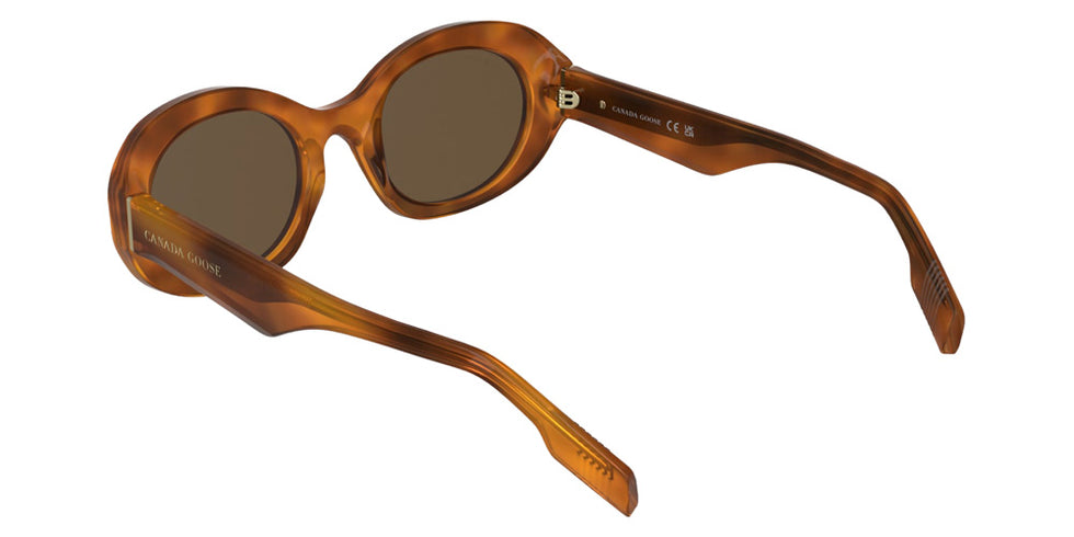 Canada Goose GC26600SE 242 51 - Orange Havana #id:cagc26600se242_s:104115