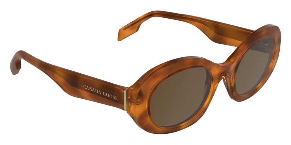 Canada Goose GC26600SE 242 51 - Orange Havana #id:cagc26600se242_s:104135