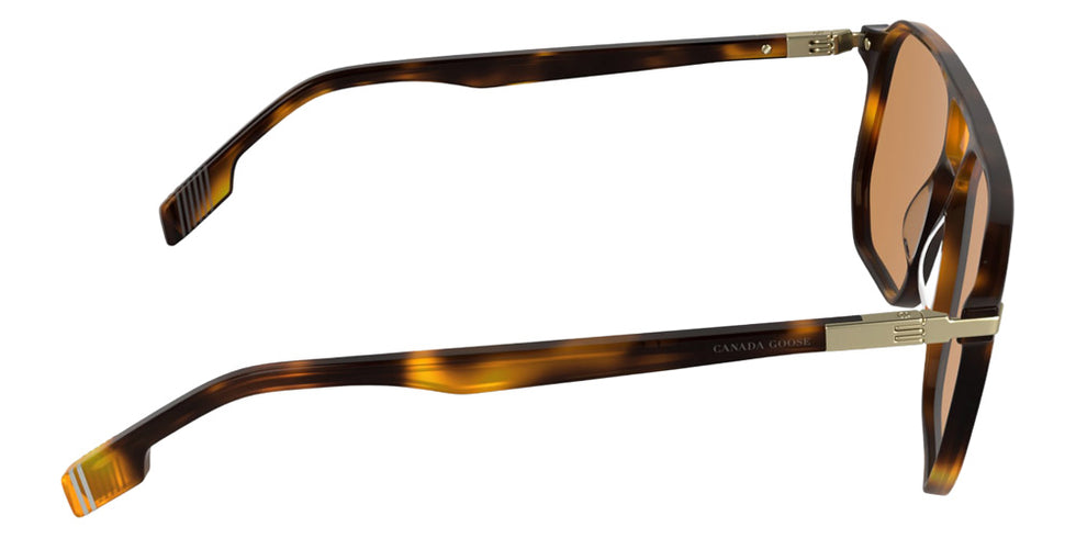 Canada Goose GC26601SE 217 59 - Havana #id:cagc26601se217_s:104130